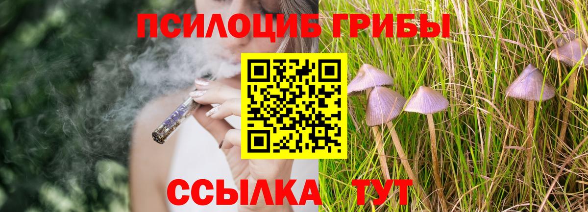 Псилоцибиновые грибы Psilocybe  цена   Клин  Вход с VPN  Галлюциногенные грибы прущие грибы 